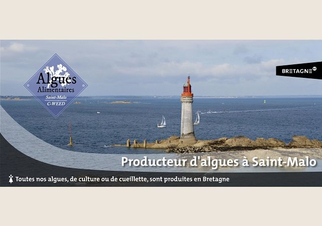 ALGUES Alimentaires Saint Malo C-WEED