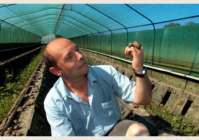 Cap&rsquo; Hélix Escargots