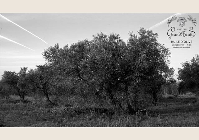 Grand Brahis (Château)