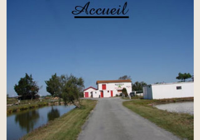 GROLLEAU-LIS HUITRES