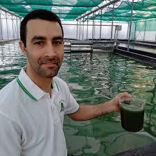 La spiruline Vallée de l’Isle