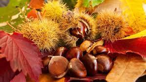 Châtaignes Gourmandes